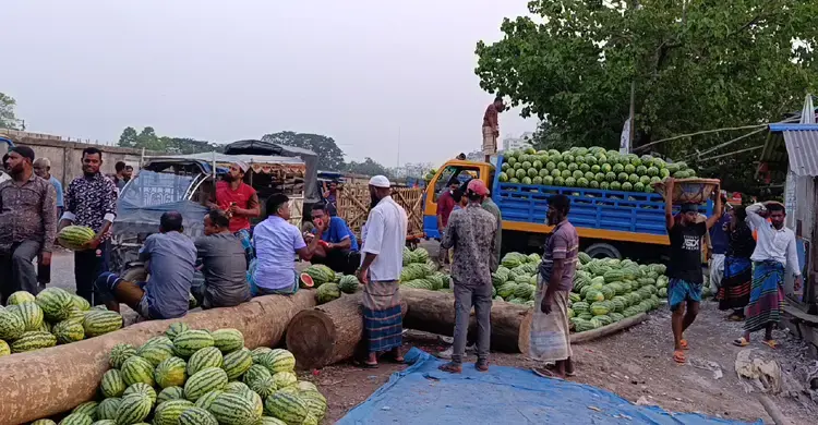 চাহিদার তুলনায় তরমুজের জোগান বেশি, লোকসানের শঙ্কা