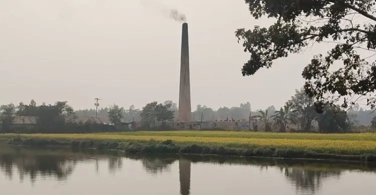 ইটভাটার বিষাক্ত ধোঁয়ায় বিপন্ন মানিকগঞ্জের বলধারা ইউনিয়ন