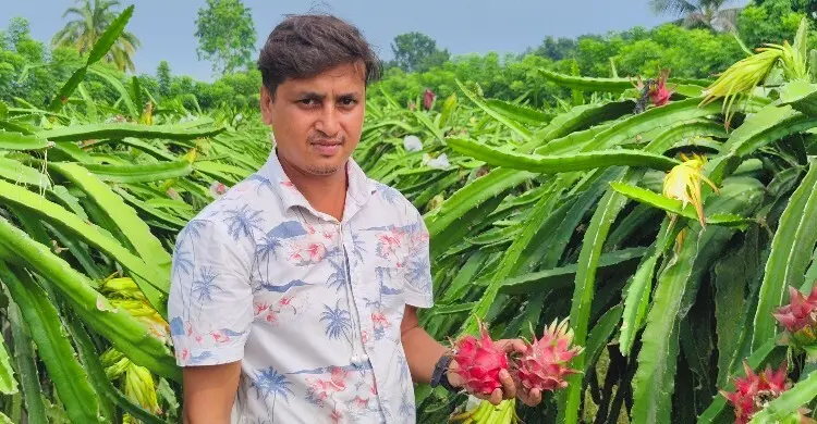 গৃহবন্দি সময় কাটে ফেসবুক-ইউটিউবে, ড্রাগন চাষে সফল ইব্রাহীম