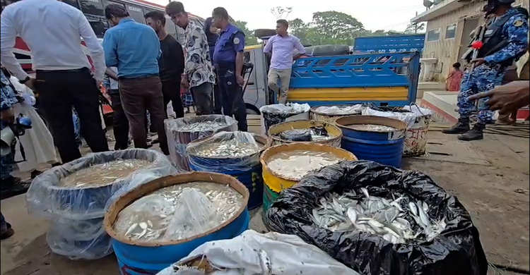ঝালকাঠিতে ঢাকাগামী বাসে ৪২ মন জাটকা জব্দ
