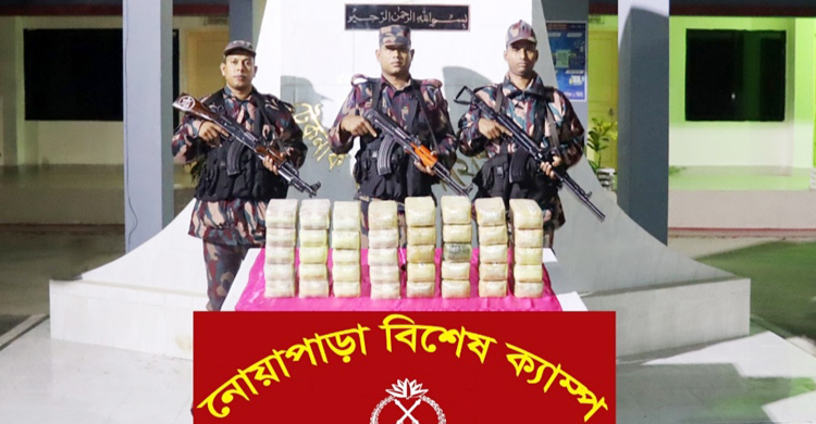 টেকনাফে তিনদিনে ৭ লাখ পিস ইয়াবা উদ্ধার