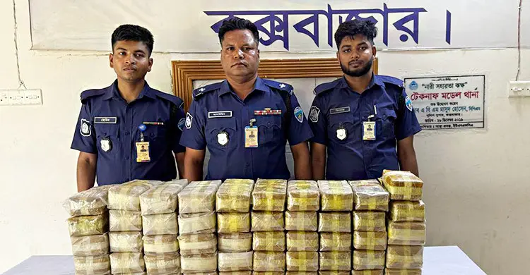 টেকনাফে মুরগির খামার থেকে ৫ লাখ পিস ইয়াবা উদ্ধার