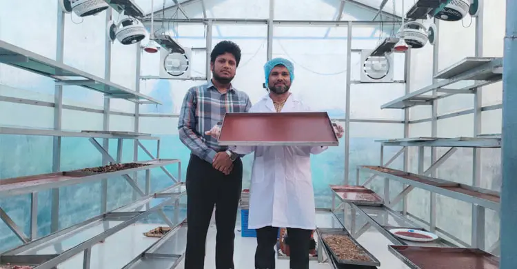 ফল প্রক্রিয়াজাতে প্রশিক্ষণ আছে, নেই পর্যাপ্ত যন্ত্রপাতি সহায়তা