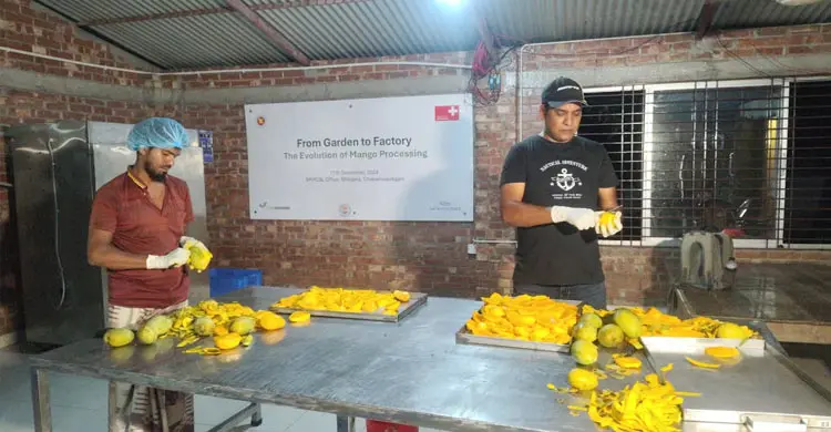 ফল প্রক্রিয়াজাতে প্রশিক্ষণ আছে, নেই পর্যাপ্ত যন্ত্রপাতি সহায়তা