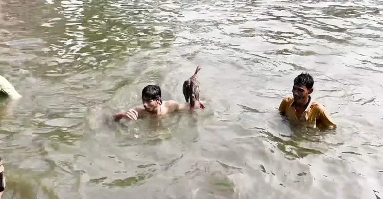 হাঁস ধরা প্রতিযোগিতা দেখতে মানুষের ঢল