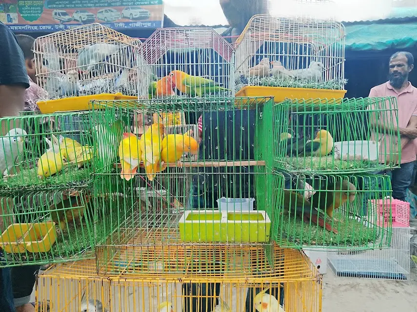 duck
