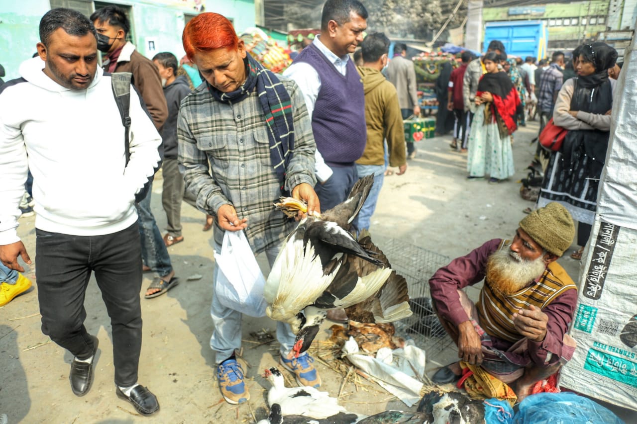 শীতের সকালে টঙ্গীর পাখির হাটে হাঁসের আধিপত্য