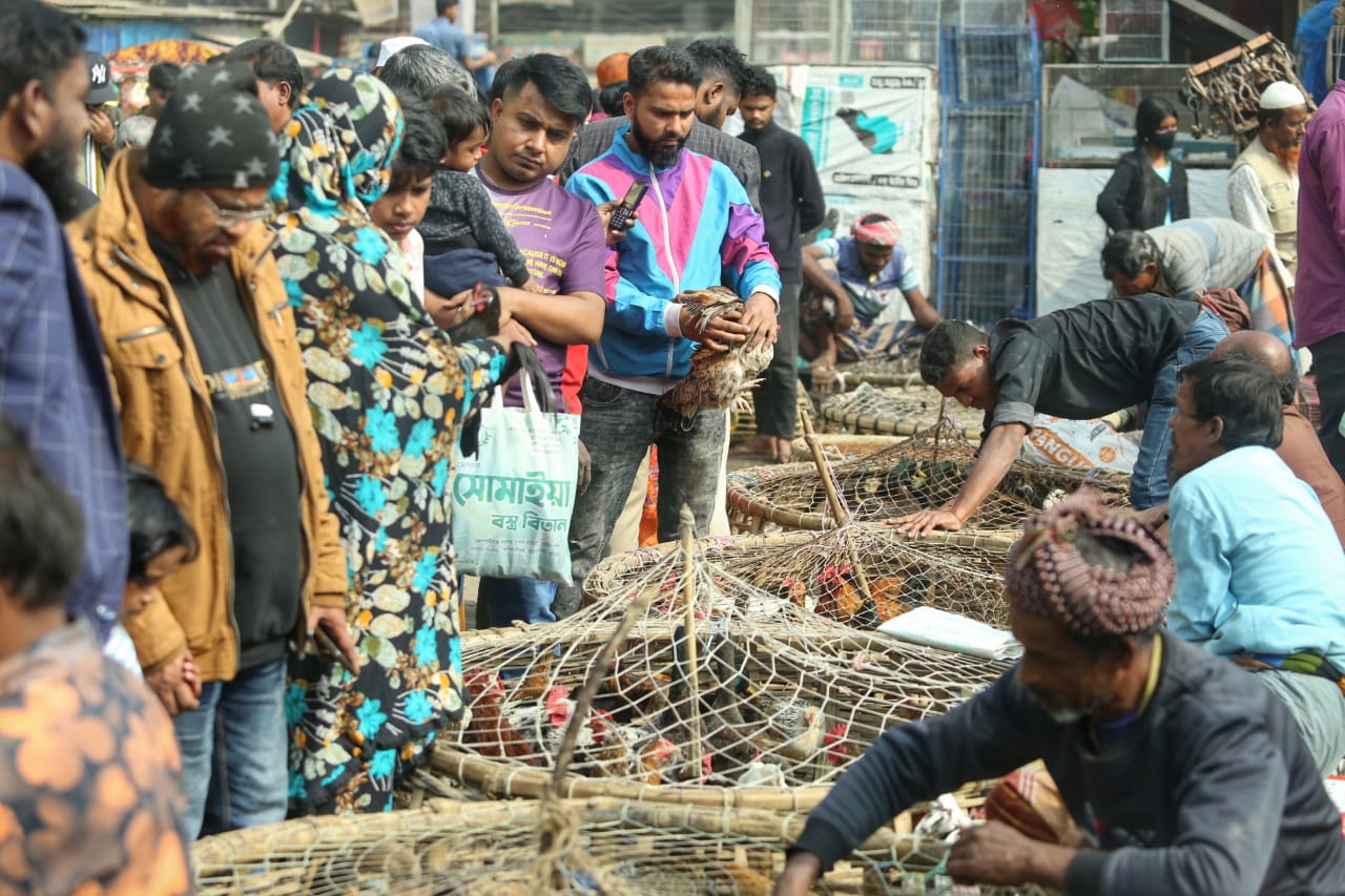 শীতের সকালে টঙ্গীর পাখির হাটে হাঁসের আধিপত্য