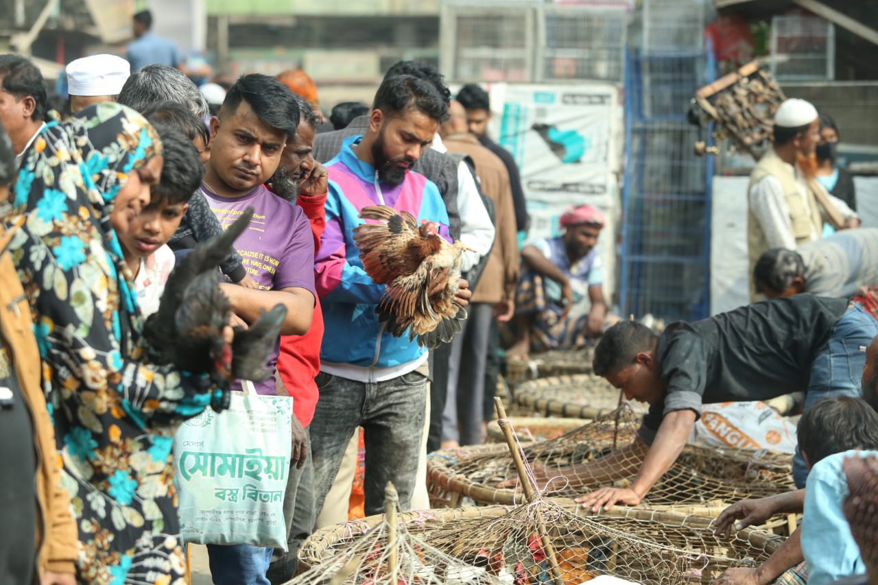 শীতের সকালে টঙ্গীর পাখির হাটে হাঁসের আধিপত্য