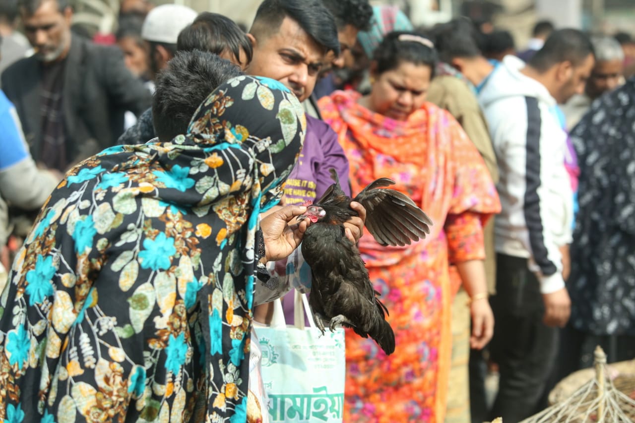 শীতের সকালে টঙ্গীর পাখির হাটে হাঁসের আধিপত্য