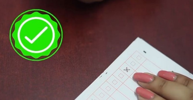 How to cast your vote in DUCSU, hall union elections