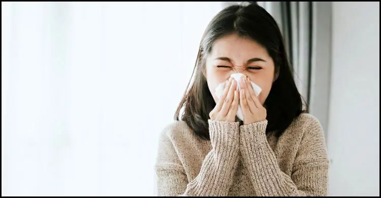 একটু ধুলাতেই হাঁচি? জানুন ডাস্ট অ্যালার্জির লক্ষণ ও প্রতিকার