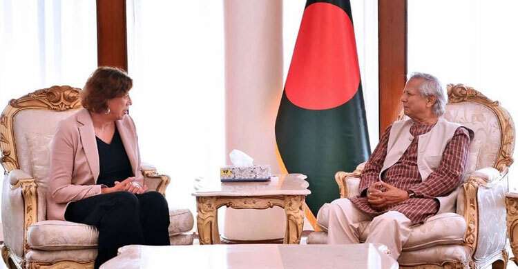 Netherlands to provide support to interim govt: envoy