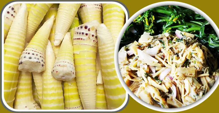 হৃদয় সুস্থ রাখতে &lsquo;বাঁশ খান&rsquo;