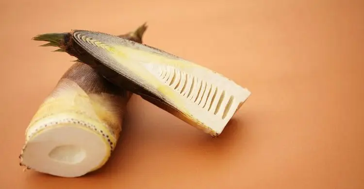 হৃদয় সুস্থ রাখতে &lsquo;বাঁশ খান&rsquo;