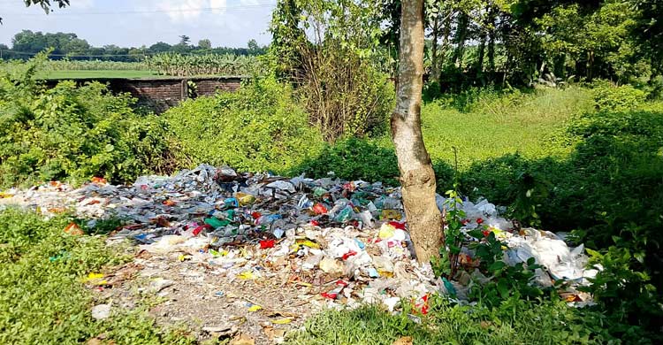 বাজেট সংকটে সৌন্দর্য হারাচ্ছে মীর মুগ্ধ সরোবর