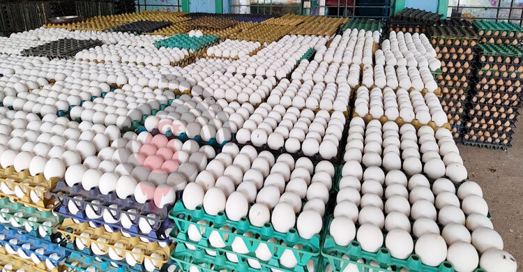 Govt nods import of 4.5cr eggs