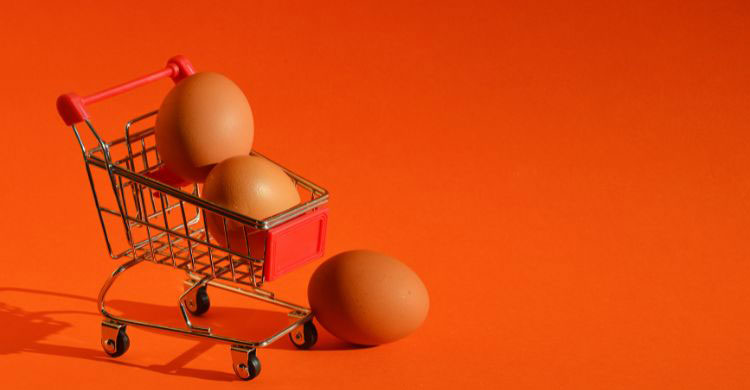 জানেন কি আমেরিকায় ডিমের দাম কত