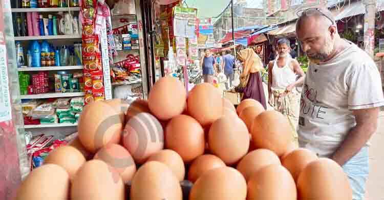 পাইকারিতে ডিমের দাম কমেছে, পাড়া-মহল্লায় প্রভাব নেই