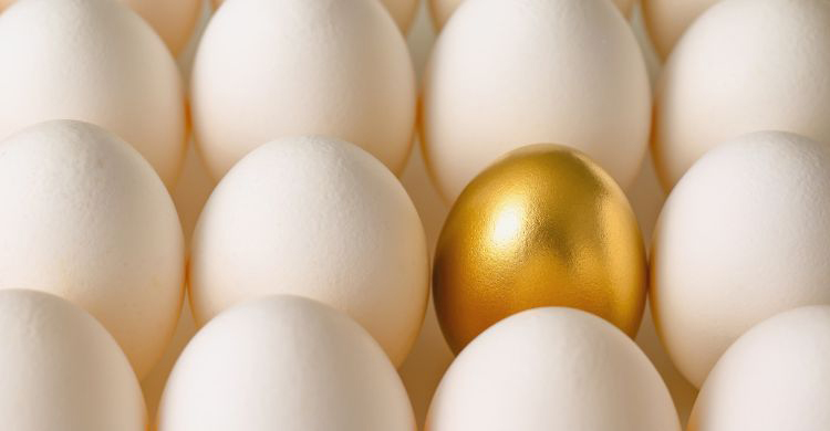 ওমেগা-৩ ডিম কি সত্যিই আলাদা কিছু