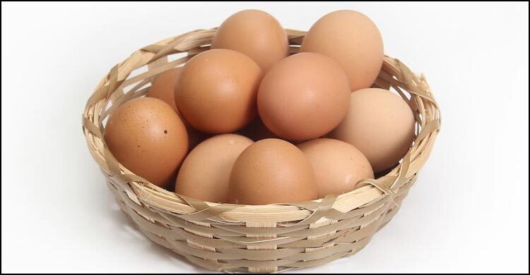 Govt allows 4 companies to import eggs