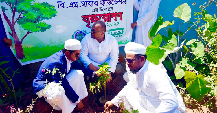 বিএম ফাউন্ডেশনের আয়োজনে হবিগঞ্জে ফিলিস্তিন সহায়তা সেমিনার