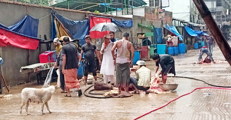 বৃষ্টিতে ভিজেই রাজধানীর অলিগলিতে চলছে পশু কোরবানি