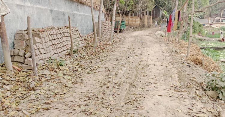 সরকারি রাস্তার ইট তুলে অবৈধভাবে মাটি বহনের অভিযোগ
