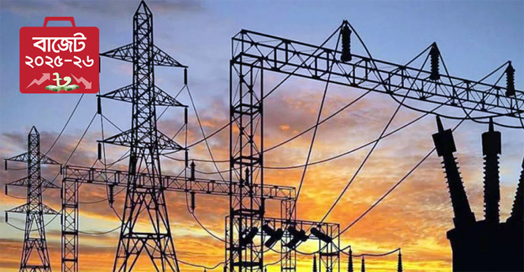Budget 2025–26: Electricity prices to remain unchanged amid inflation concerns