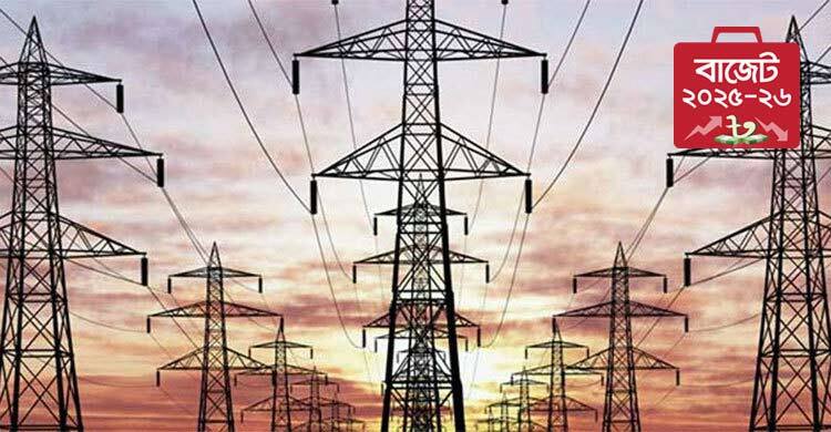 বিদ্যুতে বরাদ্দ কমেছে প্রায় ৯ হাজার কোটি টাকা