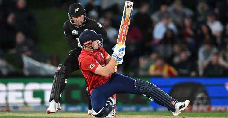 Ogil bola uchun kauchuk mushuk Ogil bola uchun kauchuk mushuk