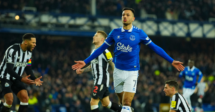 গোল হজম করে এভারটনকে উপরে তুললো নিউক্যাসল