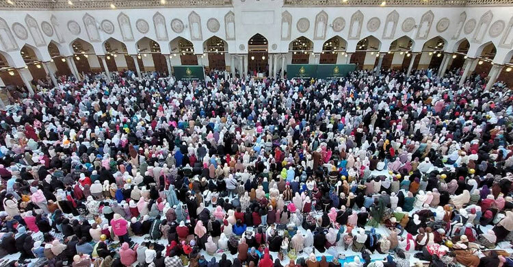 প্রবাসী বাংলাদেশিদের অংশগ্রহণে মিশরে ঈদের আনন্দ