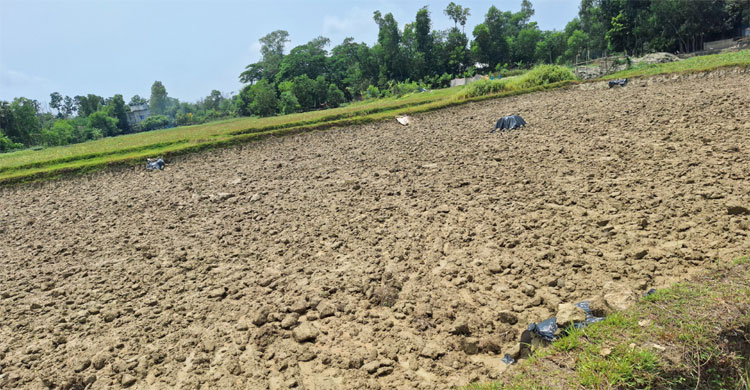 ফসলি জমির মাটি কাটায় ৫ লাখ টাকা জরিমানা