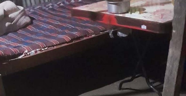 ফেনীতে সাপের কামড়ে গৃহবধূর মৃত্যু