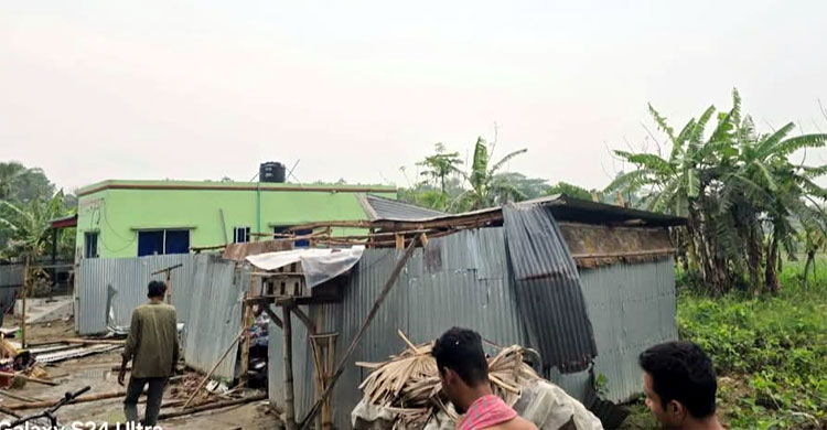 ফরিদপুরে বৈশাখী ঝড়ে ব্যাপক ক্ষয়ক্ষতি, বিদ্যুৎ সংযোগ বন্ধ