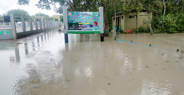 জোয়ারের পানিতে প্লাবিত গোটা সুন্দরবন