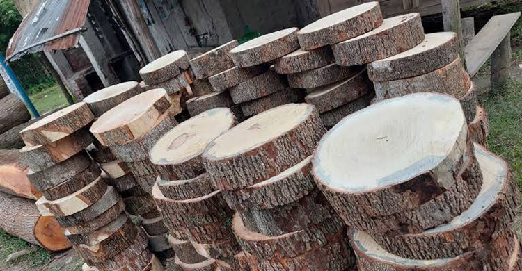 ফরিদপুরে কদর বেড়েছে তেঁতুল গাছের খাইট্টার