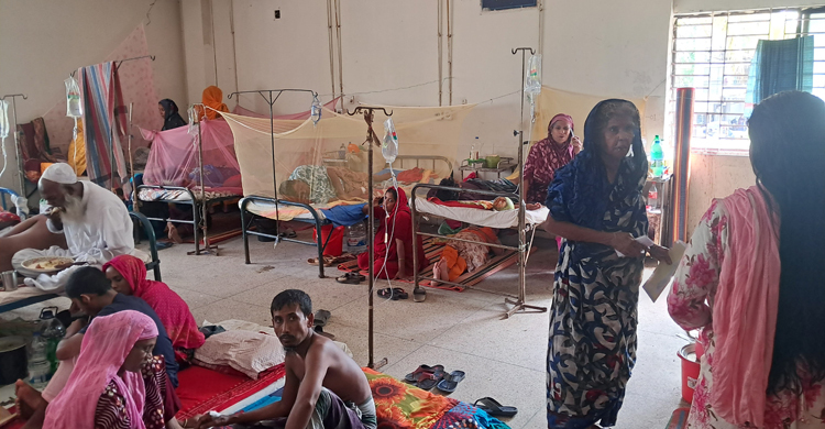 ফরিদপুরেও চোখ রাঙাচ্ছে ডেঙ্গু