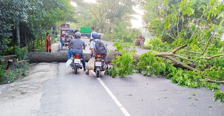 অবরোধে তৃতীয় দিনে মতো ঢাকার সঙ্গে ২১ জেলার যান চলাচল বন্ধ