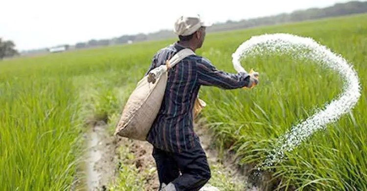 এক লাখ ৩০ হাজার টন সার কিনবে সরকার, ব্যয় ৭২২ কোটি টাকা