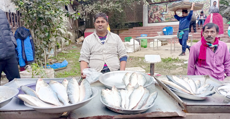 যে মেলা থেকে জোড়া ইলিশ নিয়ে বাড়ি ফেরেন ক্রেতারা
