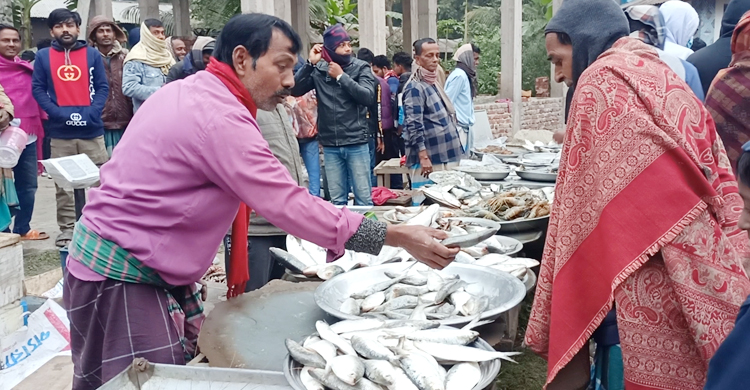 যে মেলা থেকে জোড়া ইলিশ নিয়ে বাড়ি ফেরেন ক্রেতারা