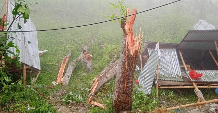 ঘূর্ণিঝড়ে লন্ডভন্ড আলফাডাঙ্গার ২৪ গ্রাম