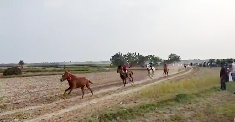 ফরিদপুরে ঘোড়দৌড় দেখতে মানুষের ঢল