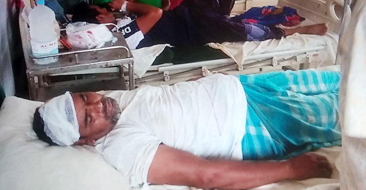 ফরিদপুরে বিদ্যুৎ সংযোগ বিচ্ছিন্ন করা নিয়ে মারামারি, আহত ৬