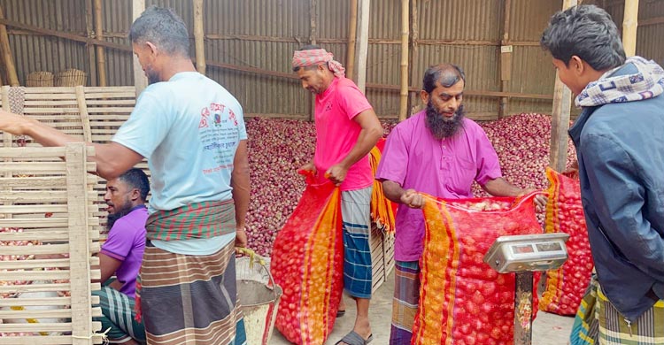 ফরিদপুরের পেঁয়াজ চাষিরা এবার বড় ধরনের সংকটে পড়েছেন। মৌসুমের শুরুতে ভালো দাম পাওয়ার আশায় যারা পেঁয়াজ চাষে আশাবাদী ছিলেন রমজানের আগে হঠাৎ করে