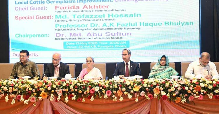 দেশীয় জাত হারিয়ে বিদেশি গরু দরকার নেই: প্রাণিসম্পদ উপদেষ্টা