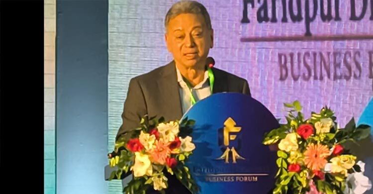 মেগা প্রজেক্ট থেকে সরে স্কিল ডেভেলপমেন্টে বিনিয়োগ বাড়াবে বিএনপি