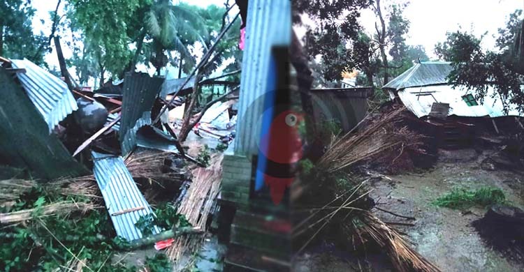 ফরিদপুরে এক মিনিটের ঘূর্ণিঝড়ে লন্ডভন্ড ৬ গ্রাম